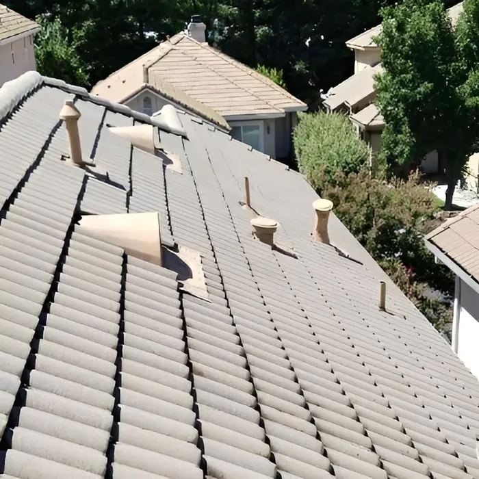 Tile roof soft wash cleaning Sacramento
